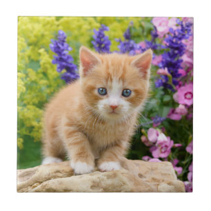 Cute Fluffy Ginger Cat Kitten in Flowers Pet Photo Tegeltje