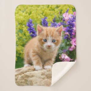 Cute Fluffy Ginger Cat Kitten in Flowers Pet Sherpa Deken