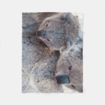 Cute Fluffy Gray Koalas