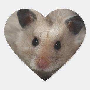 Cute Fluffy Hamster Hart Sticker
