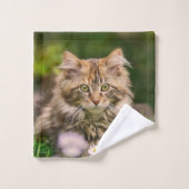 Cute Fluffy Maine Coon Kitten Cat en fleurs Photo (Gant de toilette)