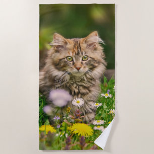 Cute Fluffy Maine Coon Kitten Cat in Flowers Photo Strandlaken