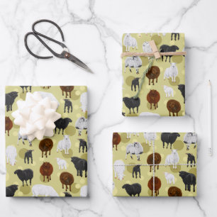 Cute Fluffy Schaap Lammeren Patroon Boer Inpakpapier Vel
