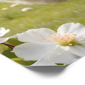 Cute Fluffy Sheep Poster (Hoek)