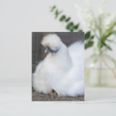 Cute Fluffy White Chicken and Chick briefkaart (Staand voorkant)