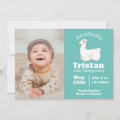Cute Fluffy White Llama Faire-part de naissance (Devant)