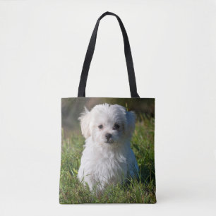 Cute Fluffy White Maltese Puppy Dog Draagtas
