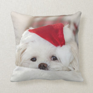 Cute Fluffy White Maltese Puppy Dog in een Santa H Kussen