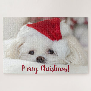 Cute Fluffy White Maltese Puppy Dog in een Santa H Legpuzzel