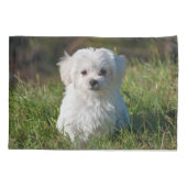 Cute Fluffy White Maltese Puppy Dog Kussensloop (Achterkant)
