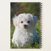 Cute Fluffy White Maltese Puppy Dog Planner (Achterkant)