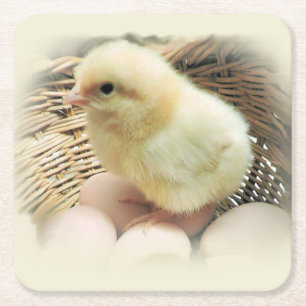 Cute Fluffy Yellow Baby Chicken in Basket Vierkante Kartonnen Onderzetter