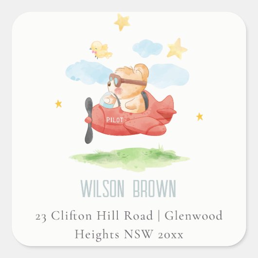 Cute Fly Over Teddy Bear Animal PlanAdres Vierkante Sticker (Voorkant)
