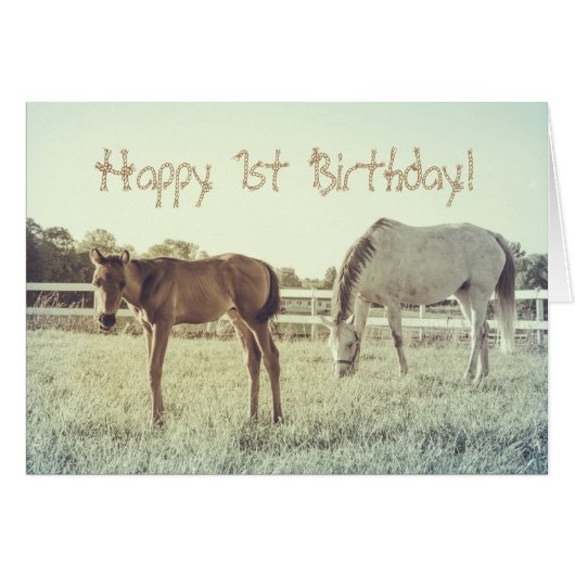 Cute Foal Cheval Animaux Carte d'Anniversaire pers (Devant horizontal)
