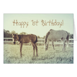 Cute Foal Horse Animals Custom Birthday Kaart