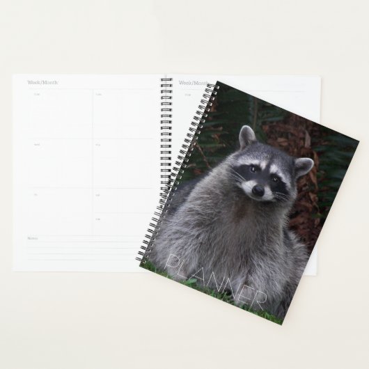Cute Forest Raccoon Photo Faune (Devant avec enveloppe)
