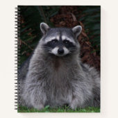 Cute Forest Raccoon Wildlife Photo Notitieboek (Voorkant)