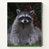 Cute Forest Raccoon Wildlife Photo Notitieboek (Achterkant)