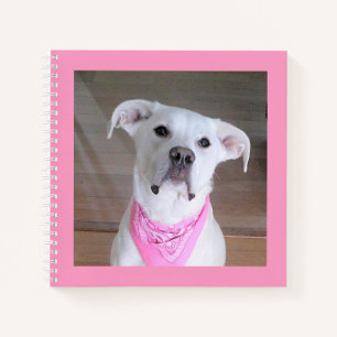 Cute foto van White Dog Wearing Pink Scarf Notitieboek