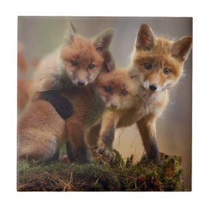 Cute Fox Family Tegeltje