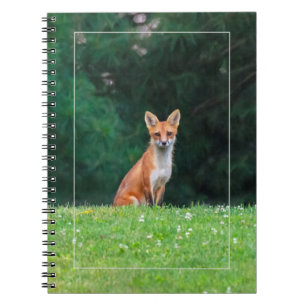 Cute Fox Notitieboek