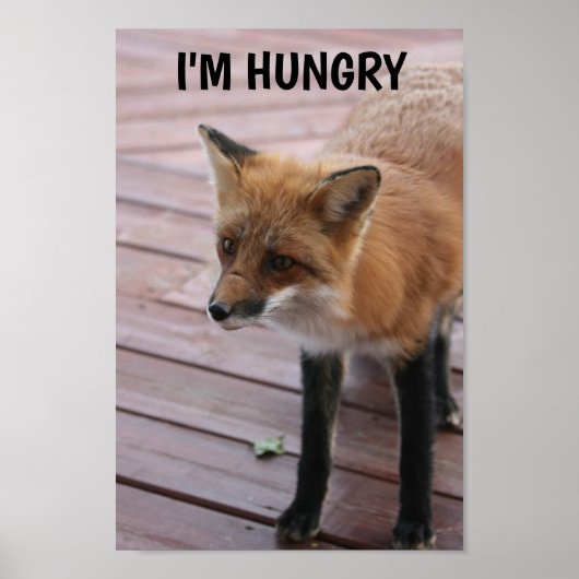 Cute Fox Photo Gezegde Poster (Voorkant)