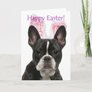 Cute French Bulldog Easter Kaart