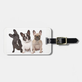 Cute French Bulldog Puppies Bagagelabel