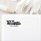 Cute French Bulldog Puppies Etiket (Insitu)