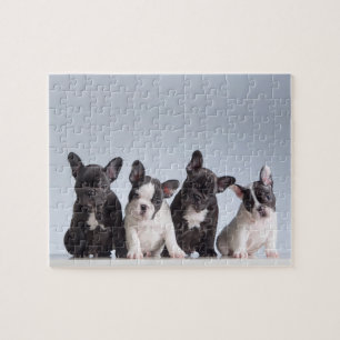 Cute French Bulldog Puppies Legpuzzel