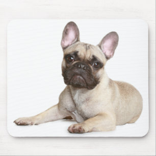 Cute French Bulldog Puppy Dog Mousepad Muismat