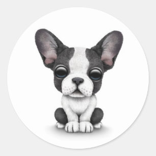 Cute French Bulldog Puppy Dog on White Ronde Sticker