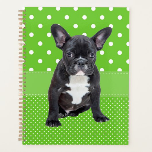 Cute French Bulldog Puppy Green Polka Dots Planner (Voorkant)