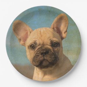 Cute French Bulldog Puppy , Happy Party Papieren Bordje