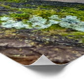 Cute French Bulldog Puppy Posing in a Branch Fork Poster (Hoek)