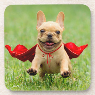 Cute French Bulldog Superheld rent in Grass Drankjes Onderzetter