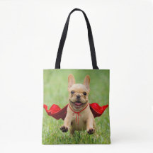 Cute French Bulldog Superheld rent in Grass
