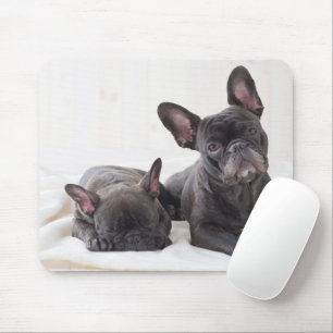 Cute Frenche Bulldog Muismat