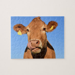 Cute Friendly Koe Legpuzzel