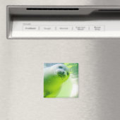 Cute Friendly Seal Underwater Magneet (Insitu (Vaatwasser))