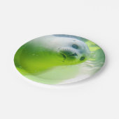 Cute Friendly Seal Underwater Papieren Bordje (Gekanteld)