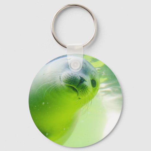 Cute Friendly Seal Underwater Sleutelhanger (Voorkant)