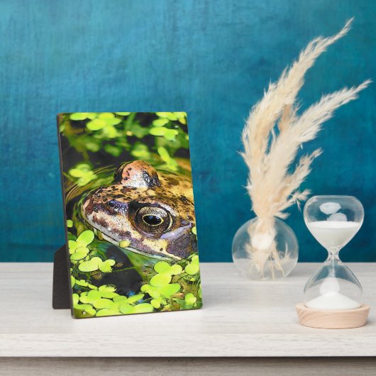 CUTE FROG FOTOPLAAT (Zijkant)