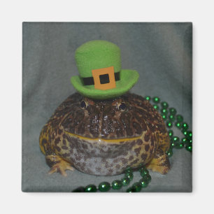 Cute Frog Magneet
