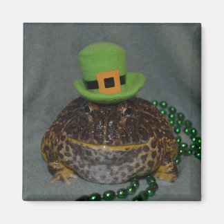 Cute Frog Magneet