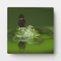 Cute frog met een Butterfly aan zijn neus