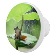 Cute Frog op Lily Beauful Green Natuur