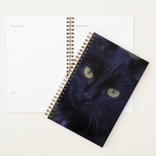 Cute Funky Black Cat Kitten Yellow Eyes Planner (Display)
