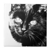 Cute Funky Black en White Cat Kitten Sketch Tegeltje (Voorkant)