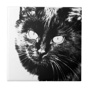 Cute Funky Black en White Cat Kitten Sketch Tegeltje